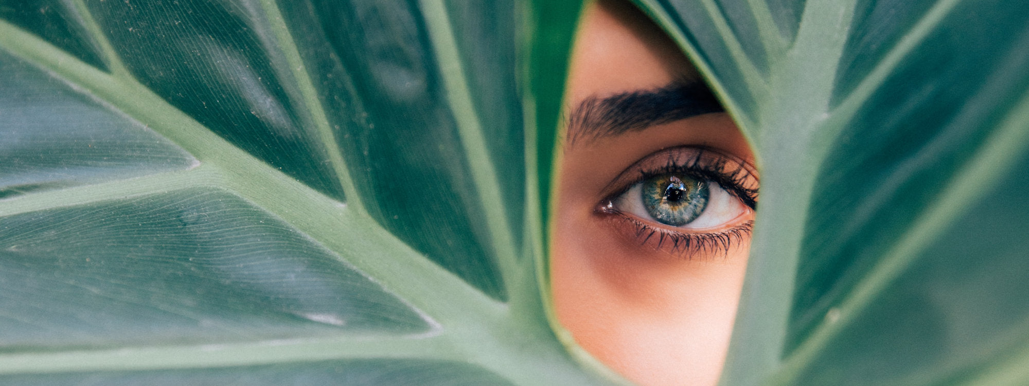 Conscious Skincare